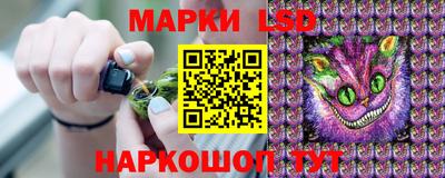 стафф Обь
