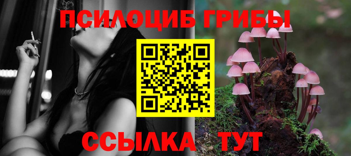 Псилоцибиновые грибы Psilocybe Сарапул